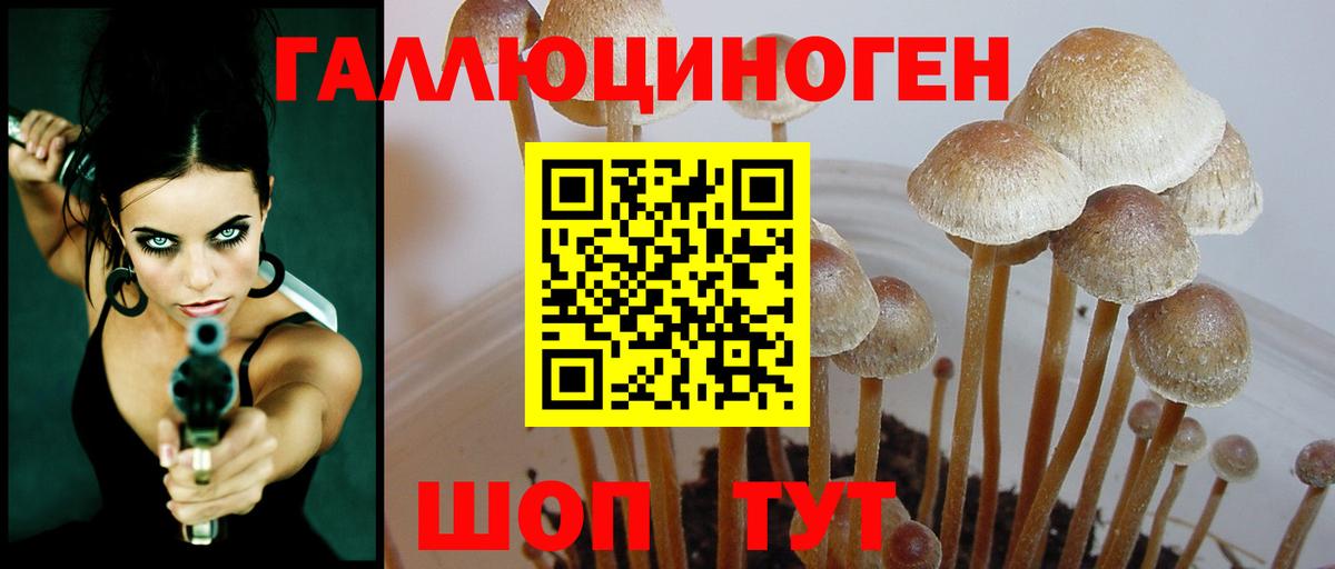 Галлюциногенные грибы ЛСД  Вход с VPN  Шали  Галлюциногенные грибы прущие грибы 