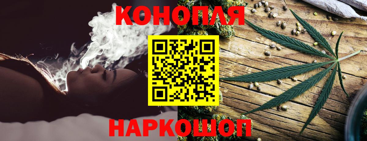 Марихуана гибрид Шали